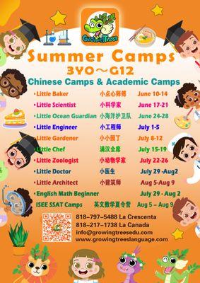 Summer Camps