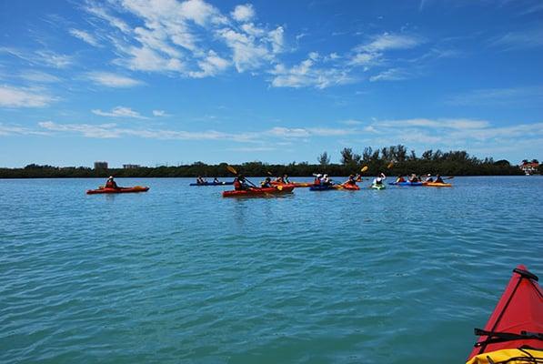 Rent a kayak and explore the beautiful Siesta Key. Siesta Key wildlife is abundant with dolphins, manatees.