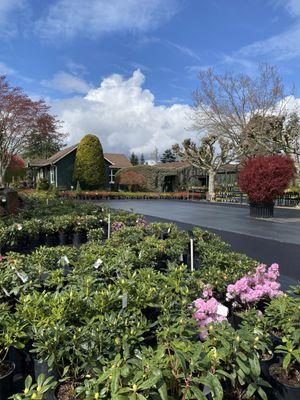 Portland Avenue Nursery