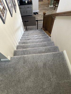 Carpet on stairs