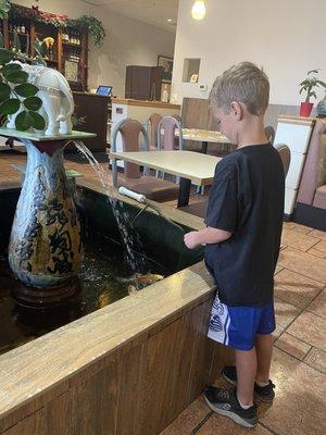 Son feeding the fish