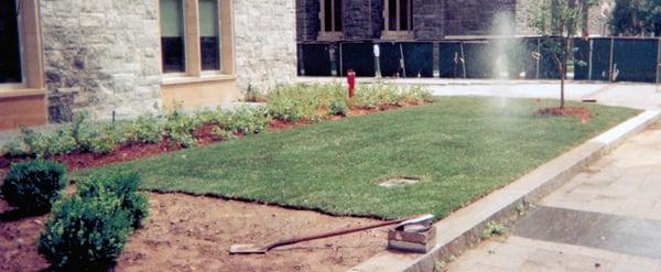 Grass Being Laid, Dom Chiola Landscaping Corp. in Fairview, NJ