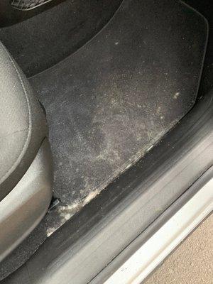 Moldy car. Reported to F2M who didn't apologize, reimburse my ride or offer any credit. They also didn't take the car out of service.