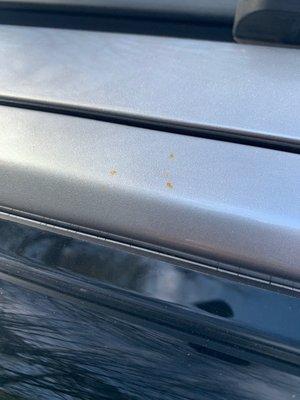 Clear coat on dirt or droppings. Not rust.