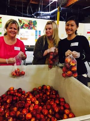 Sterling at the Alameda Food Bank, 2015