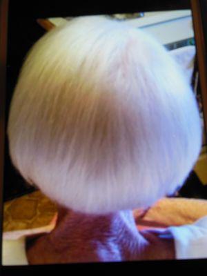 Angel white hair shaped in an undercut bob.  Easy to maintain.