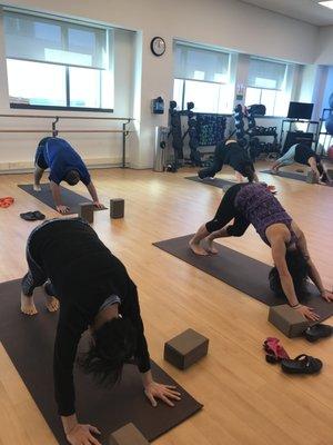 Downward facing dog, my group yoga class