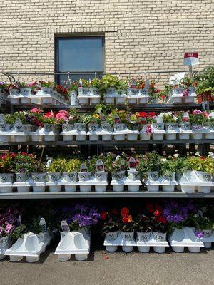 Bayles Garden Center & Nursery