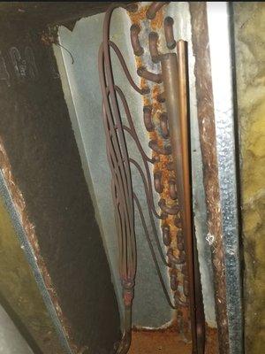 Inside the condenser coil box.  A leak detector was used and these old tubing's were not the source of the leak.