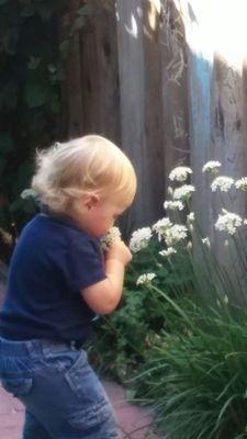 Taking a moment to smell the flowers at Fox & Bear