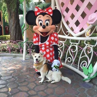 Porky meeting Minnie 09/04/15