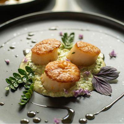 Scallops of the day!