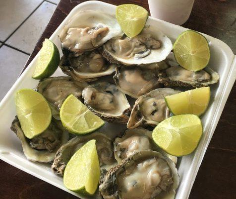 Fresh Half Shell Oysters