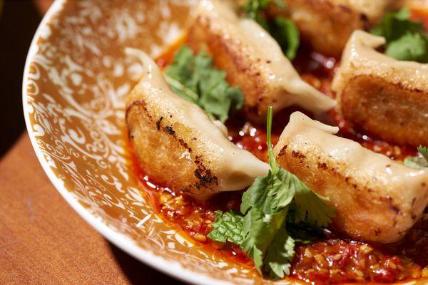 Chicken Potstickers - Calabrian Chili, Soy, Crunchy Garlic, Herbs *spicy