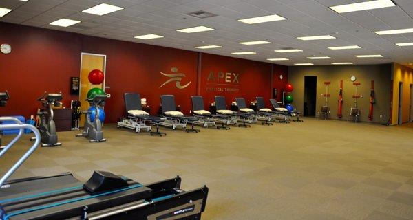 Apex Physical Therapy - San Carlos