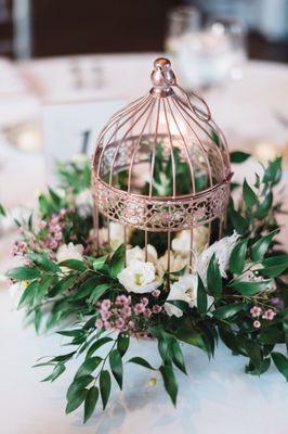 Bird cage arrangement