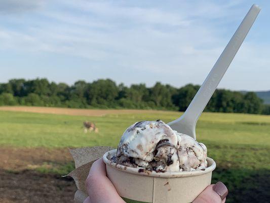 Hadley Scoop at the Silos