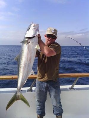 We catch Yellowtail, White Seabass, Tuna, Dorado, Marlin, Calico Bass, Halibut, Sand Bass, Ling Cod, Lobsters, Rock Fish & More!!!