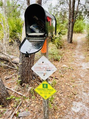 Bear Pond Trailhead