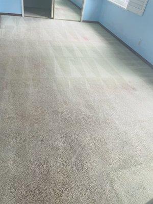 Andrade's Carpet Cleaning