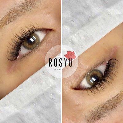 Brown Hybrid Lash Extensions