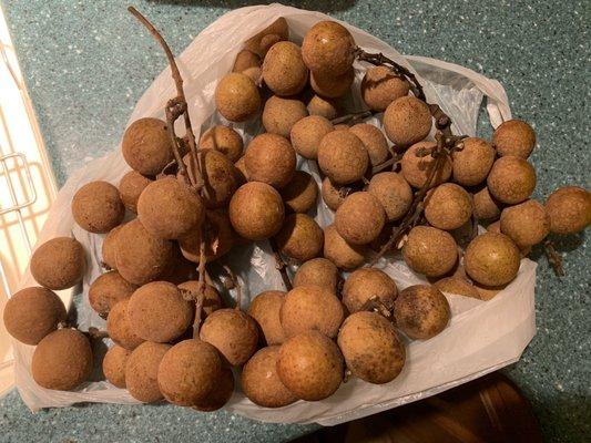 Fresh Longan $4/lb. Lowest price this late in the season and still super sweet.