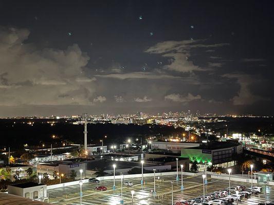 Downtown Miami view