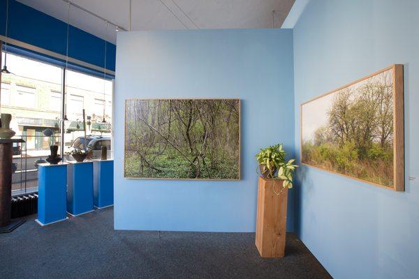 Beautiful "Western New York Landscape" pieces printed & framed by Buffalo Big Print and on display in the gallery.