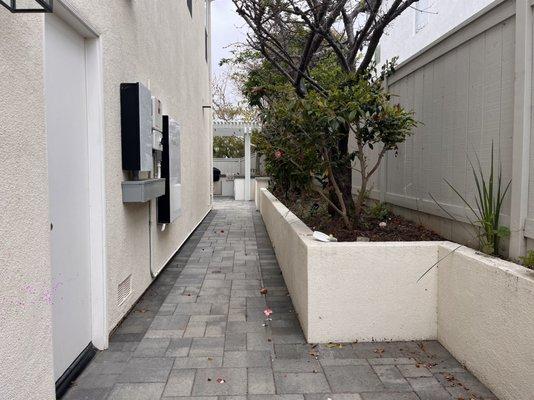 Polished Side Entry with 3 PC Paver Install & Stucco Retaining Wall/ Planting