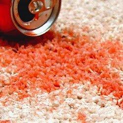 Dr Steemer Carpet & Upholstery Cleaning