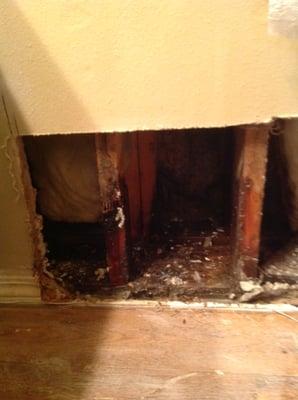 "attempting" to fix mold issue = spraying bleach and cutting wall ( no use of bathroom) no professional testing