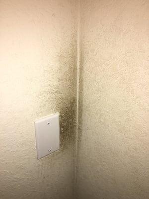 Coworkers had me believing this was mold. Skip assured me it wasn't. :)