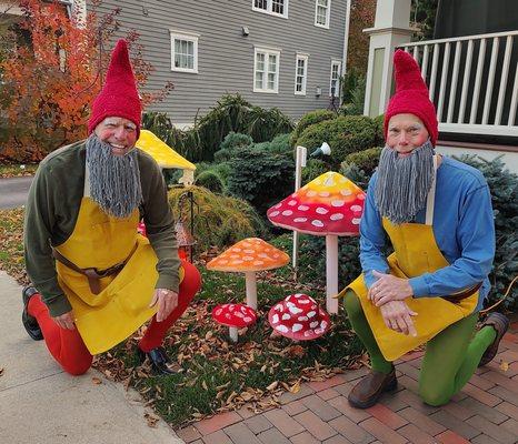 The Maine Gnomes and their mushrooms.....