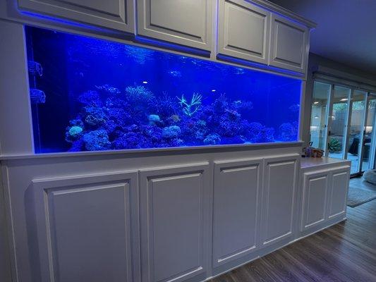 450 gallon custom reef tank