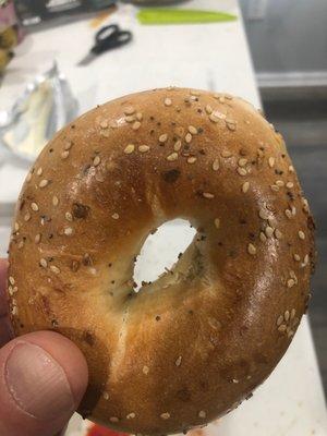 Everything bagel