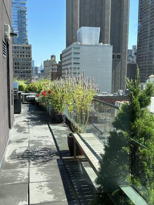 Tribeca Rooftop