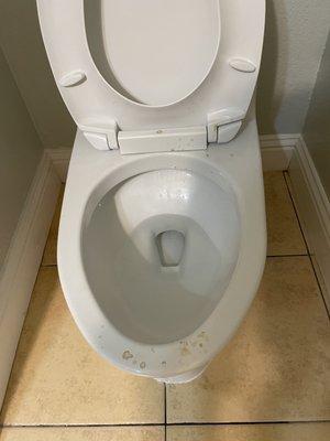 Dirty toilet