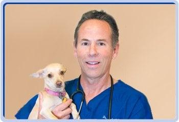 Dr Robert Arrick and his rescue chihuahua "Kiwi".