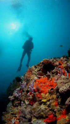 Dive the Blackhole in the Gulf of Mexico fresh water spring 30 miles out.