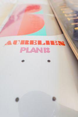 plan b- pro deck