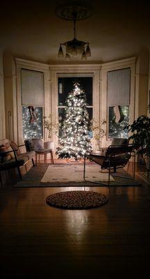 Guardsman Christmas tree with lights and decorations at night time.