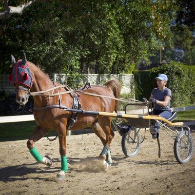 Bennett Farms offers driving lessons