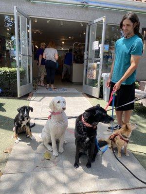 4 clean happy dogs!!