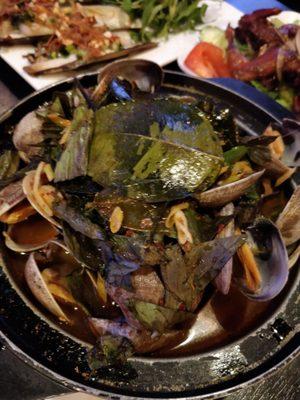 Clam hot pot