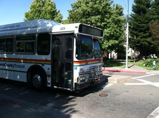 Bus in Sebastopol