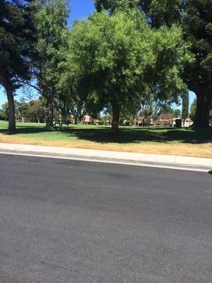 Lunchie under a shade tree.