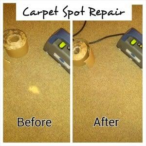 Carpet repair and the art of "spot transplant" is one of specialties.