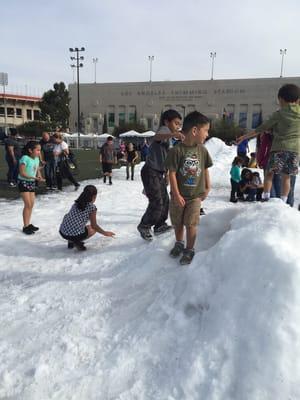 Snow in LA