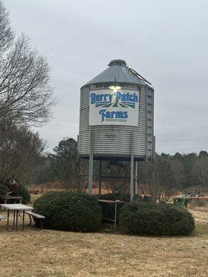 Berry Patch Farms