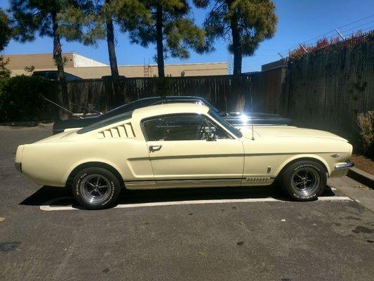 Another Mustang